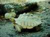 Ad01.jpg (58821 �Ӧ줸��)