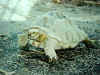 Ad02.jpg (35903 �Ӧ줸��)