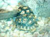 Ad03.jpg (21943 �Ӧ줸��)