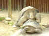 Ad06.jpg (40548 �Ӧ줸��)