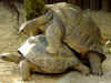 Ad07.jpg (42689 �Ӧ줸��)