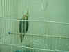 DSCF0013.jpg (24977 �Ӧ줸��)