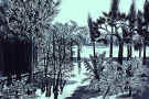 carbforest.jpg (95065 �Ӧ줸��)