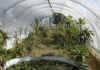 chameleonhouse.jpg (42167 �Ӧ줸��)