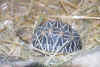 tor9.jpg (31062 �Ӧ줸��)